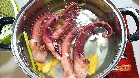 Cách làm râu bạch tuộc luộc sả gừng thơm phức giòn ngon - Bếp Nhà Hoàng