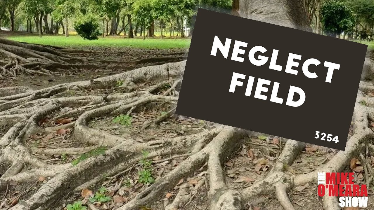 Ep 3254 : Neglect Field