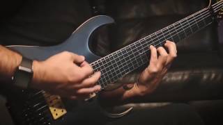 Periphery - Flatline Guitar Playthrough [Instrumental]