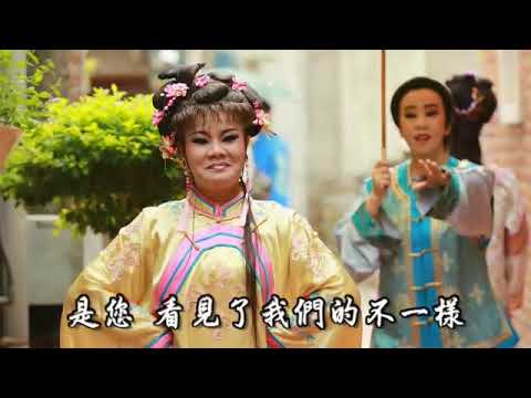 陳麗香歌仔戲團107年募款影片-堅持篇