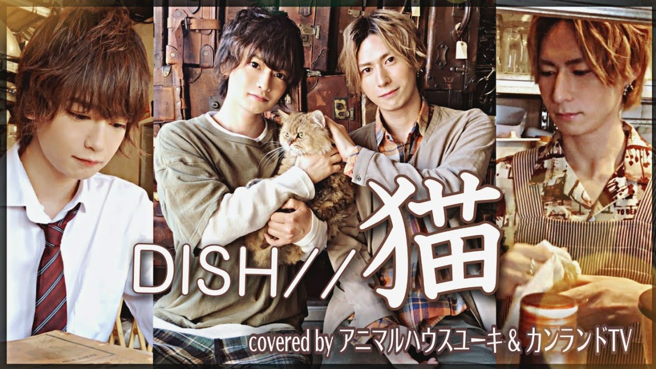 No.1 猫 - DISH// 歌ってみた。 - YouTube