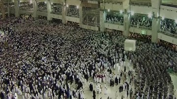 ( إِنَّ اللَّهَ فَالِقُ الْحَبِّ وَالنَّوَىٰ ) الشيخ د. ياسر الدوسري #سورة_الأنعام خشوع واجمل تلاوة