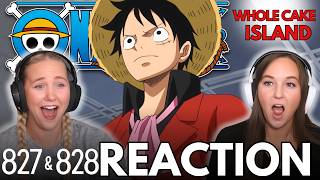 LUFFY & BEGE | ONE PIECE | Reaction 827 & 828