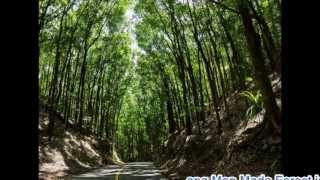 Video thumbnail of "Unsighted Band - Balik Balik Ta Sa Bohol (Original Version with Lyrics)"