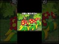 【不気味】見られるのが好きなポケモンと嫌いなポケモン😠 #newポケモンスナップ #ポケモン