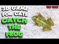 3D game for cats | CATCH THE FROG (top view) | 4K, 60 fps, stereo sound