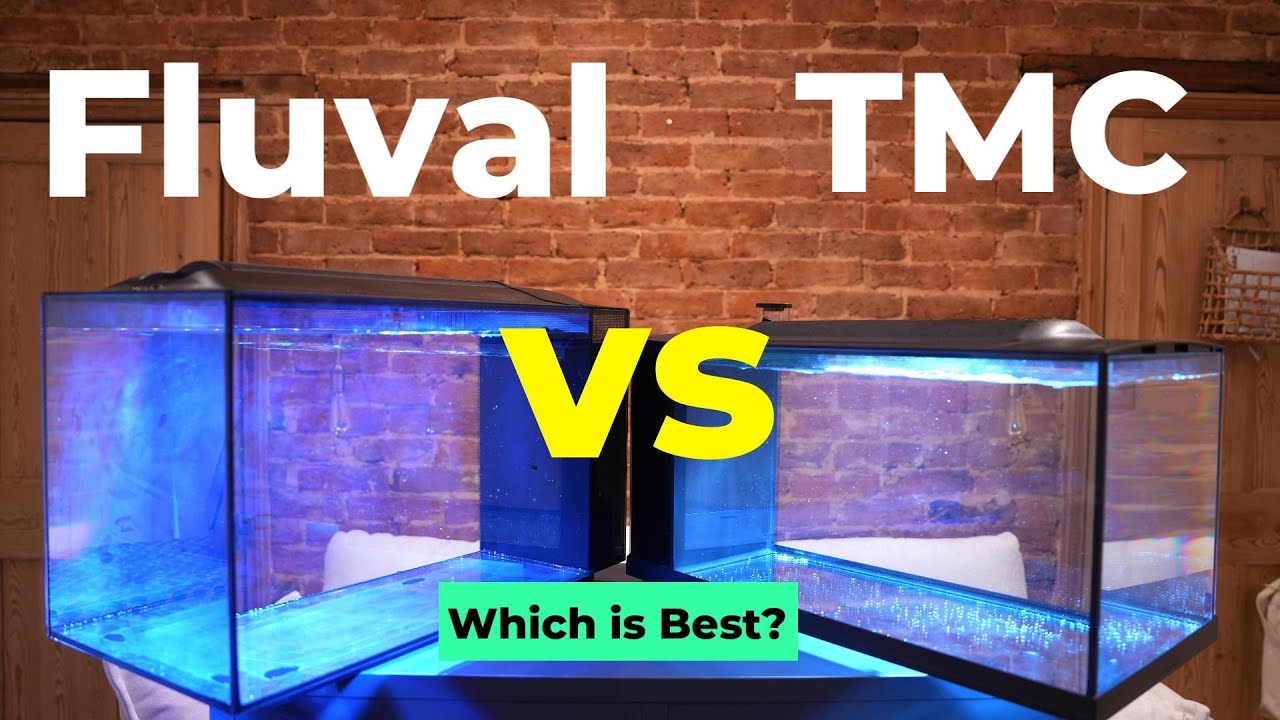 TMC First Wave 48 vs Fluval Evo 13.5 | Which Nano Tank is Best?