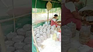Mushroom Cultivation Full Video | Bag Filling to Harvesting|| Anupamagreenlife #shorts #farmlife