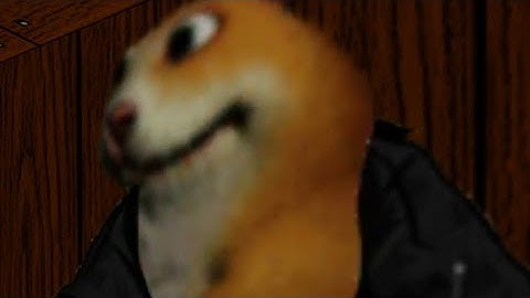 how to get drip chomik