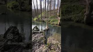 Nacimiento río Ebro (Cantabria)
