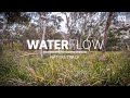 Calm creek flowing, frogs and birds — sleep music (3 hrs) | Nature Track