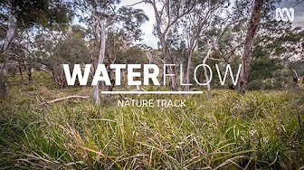 Calm creek flowing, frogs and birds — sleep music (3 hrs) | Nature Track