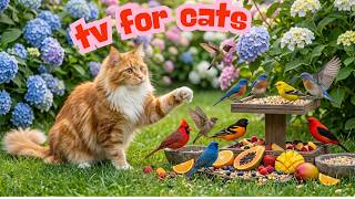Keep Your Cat Happy All Day! 😻📺 Beautiful Garden Birds 🦜🌱 4K CAT TV