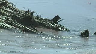 Water at Willard beach is 'impaired,' according to South Portland officials