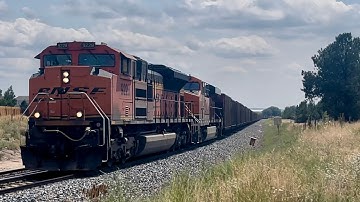 BNSF #9228 leads a northbound empty coal train through the Monument siding! 8/24/25