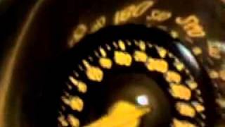 Shank test Bugatti Veyron Acceleration 0-180mph.mp4
