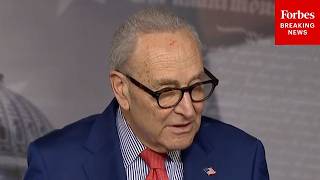 'The Two Are Tied Together': Chuck Schumer Vows Dems Will Campaign Against Corruption, High Prices
