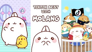 TIKTOK BEST with Molang | Compilation for kids