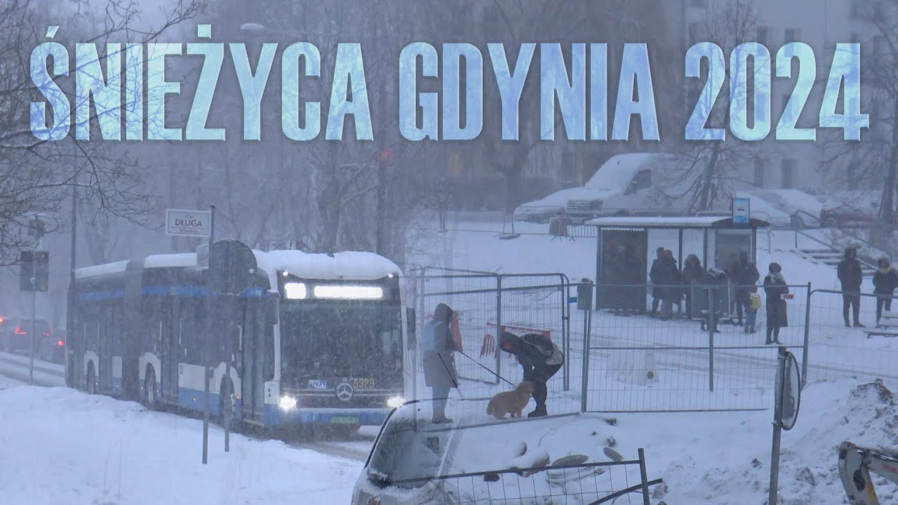 Śnieżyca | Gdynia Witomino | Styczeń 2024