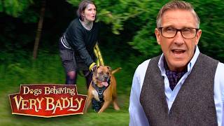 My Dog Lunges At Everyone And I’m Petrified She’ll Be Put Down!