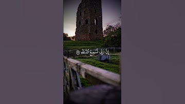 تلاوة طيبة للشيخ محمد المحيسني #quran