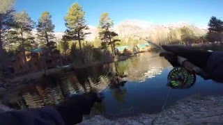 Fly fishing a small pond for huge rainbow trout!