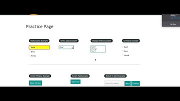 Highlight the Elements using Selenium