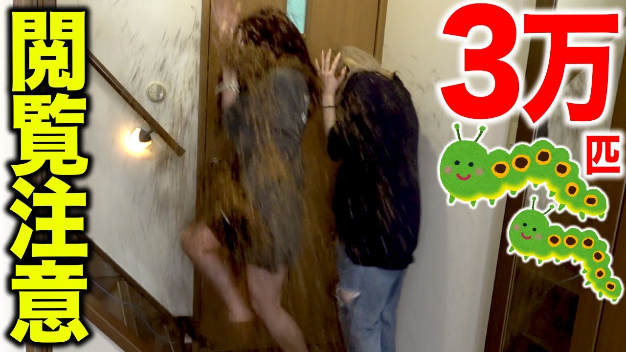 【過去最大の悲鳴】階段から3万匹の生イモムシが降ってくるドッキリ【閲覧注意】