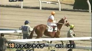 【競馬】2002年_2回京都7日・3歳500万下_本馬場入場