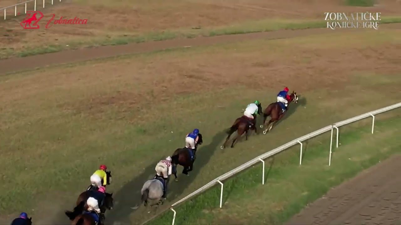 KUP ZOBNATICE EAG HOLDING Group 1 3g i st 08 09 2024