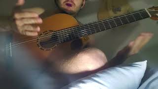 [528] Nylon string guitar with distortion