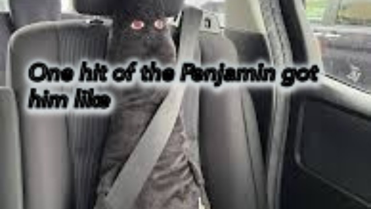 (OP13) Imu Deck Showcase-The Ruler Of The World(Deck Profile & Gameplay)