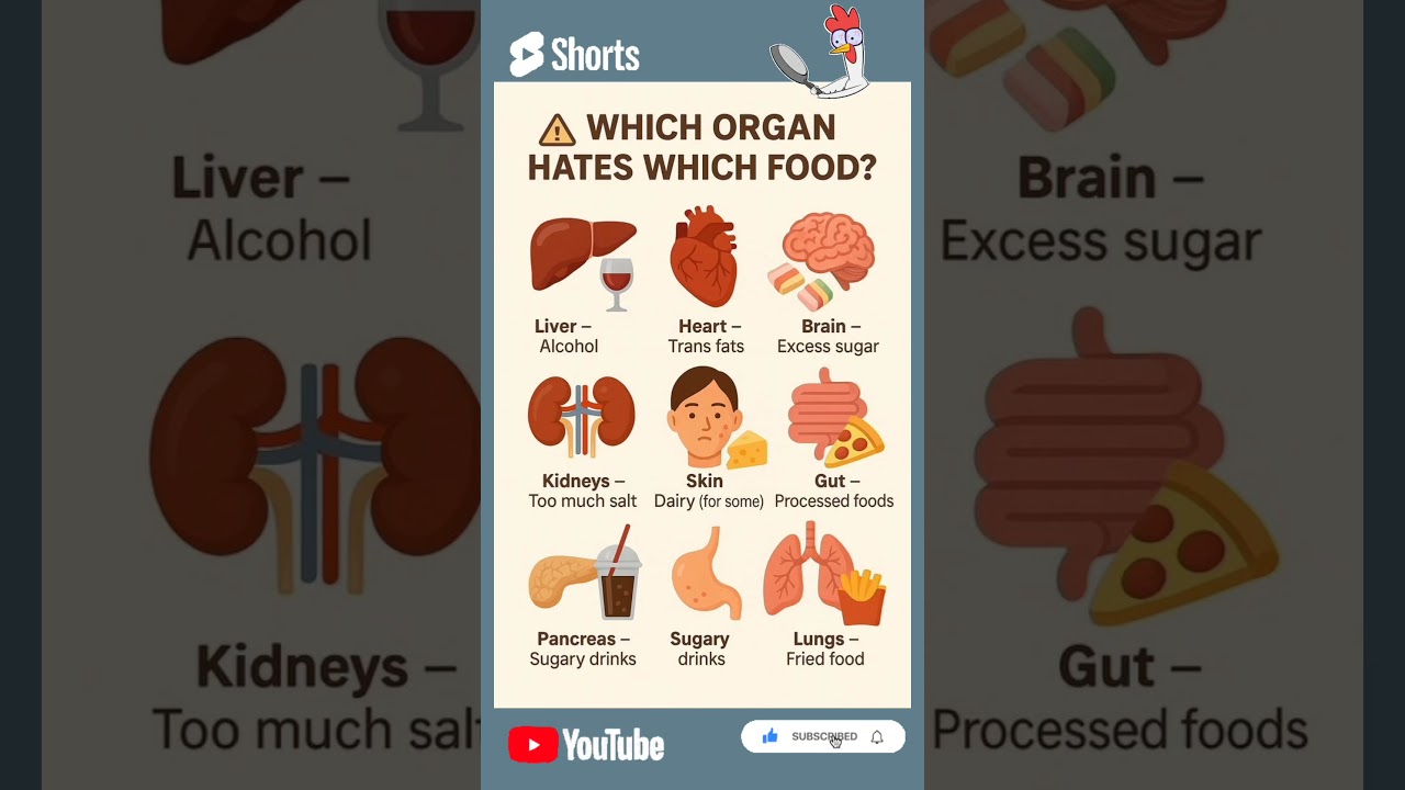 # which organ hates which food 