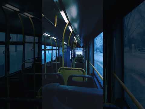 «Тrendy Topics in Pavlodar: A Dive into Local Life, Culture, and Technology»