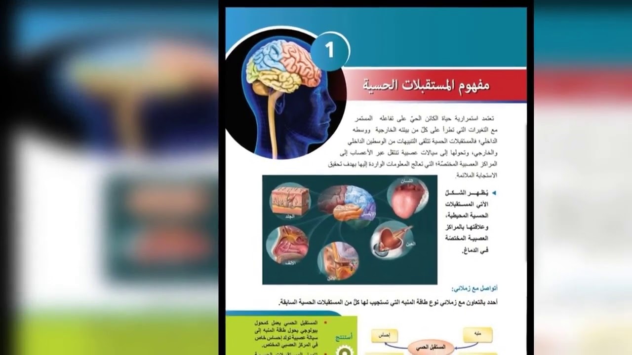 بكالوريا علوم مفهوم المستقبلات الحسية 🧠💯