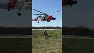 Aviations Coolest working Dog? #Shorts