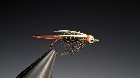 Fly Tying a Prince nymph fly variant with Barry Ord Clarke