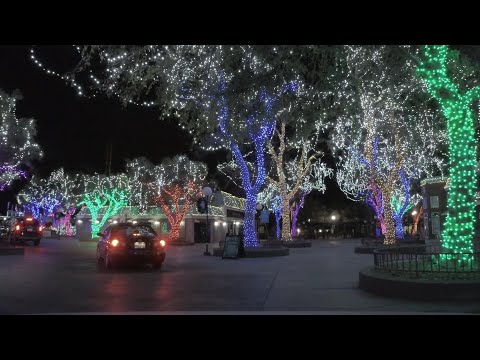 Holiday in the Park Christmas Lights Drive-Thru | Six Flags Magic Mountain [4K 60fps]