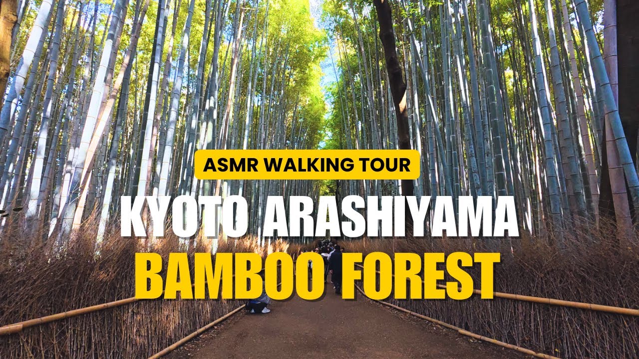 ASMR Walking Tour Arashiyama Kyoto Bamboo Forest Japan | No Talking POV