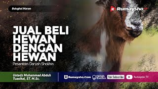 Bulughul Maram : Jual Beli Hewan dengan Hewan - Ustadz M Abduh Tuasikal