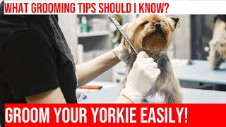 Grooming Tips for Yorkshire Terriers: Expert Hacks for Every Owner!