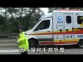 20100101 失魂馬騮捱車撞 人道毀滅