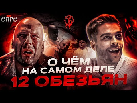 ОНИ не СОШЛИ С УМА | смысл 12 ОБЕЗЬЯН | разбор СПГС