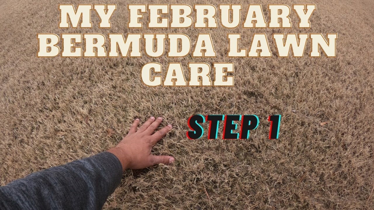 february-bermuda-lawn-schedule-step-1-youtube