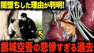 【BLEACH】銀城と浮竹の間に起こった胸糞事件がエグい...。完現術者を襲った悲惨すぎる出来事
