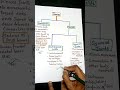 NEET quick REVISION ALL MCQS|Joints -FLOWCHART|REPEATED important MCQ'S|Physiology|#education #neet