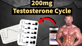 200 mg Testosteron-Zyklus!? | Bester Steroid-Zyklus? | Muskelaufbau? | Nebenwirkungen? | Analyse ...