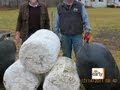 The Early Show - Tsunami debris washing up in U.S.?