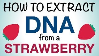 Science Mom Extracts DNA from a Strawberry