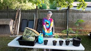 Roots Organics Soil & repotting